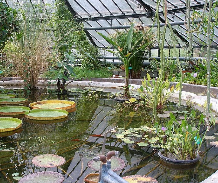 Jardin Botanique de l'université de Strasbourg, Strasbourg, France, France